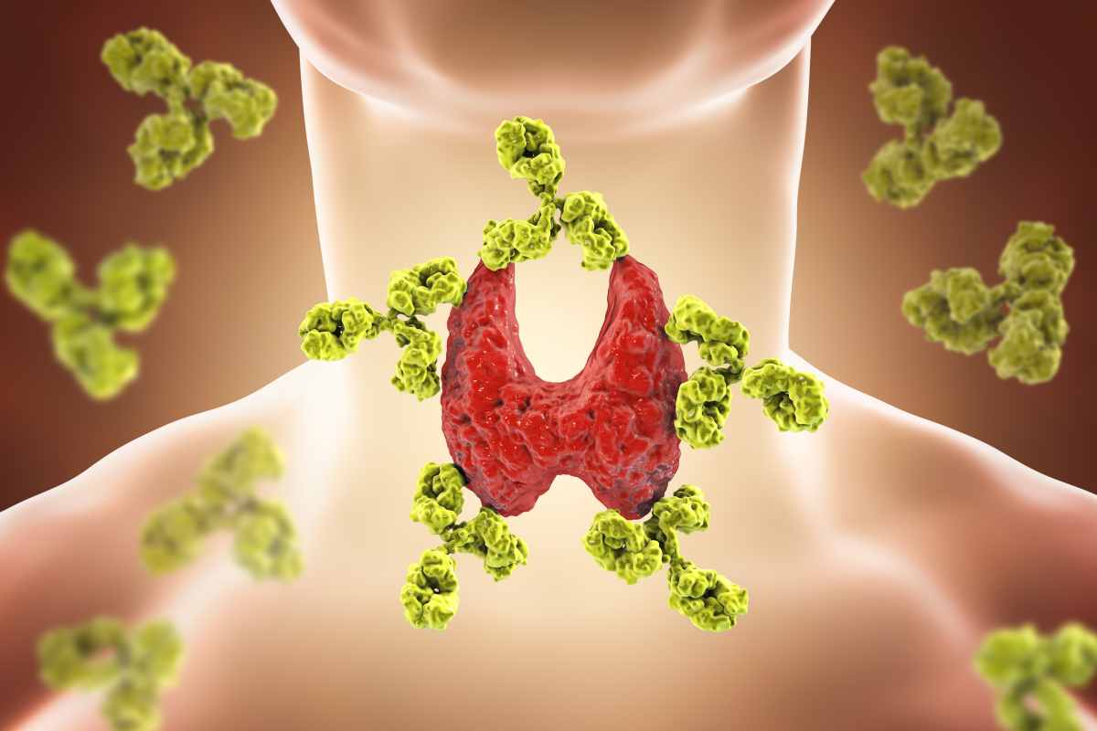 thyroid gland