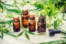 Wirksame Cannabis-Medikamente versus Legalisierung von Cannabis