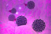 Internationale Krebsforschungagentur kritisiert Vorbehalte gegen HPV-Impfung