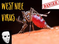 Западнонилска треска: епидемиологична обстановка в Европа, САЩ и България