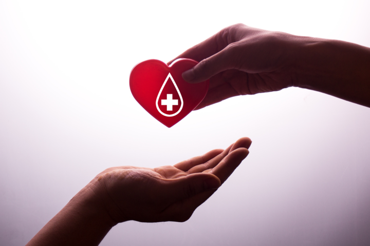 Blut spenden: Kleiner Aufwand, großer Erfolg