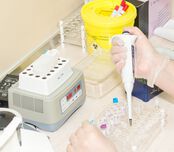 Лаборатория „ЛИНА” разширява ДНК диагностиката на полово-предаваните инфекции 