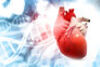 Herzinsuffizienz – ein unterschätztes Leiden