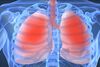 Wie die Lunge zu ihren Immunzellen kommt
