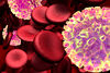 Immunzellen: räumliche Enge hemmt Aktivität