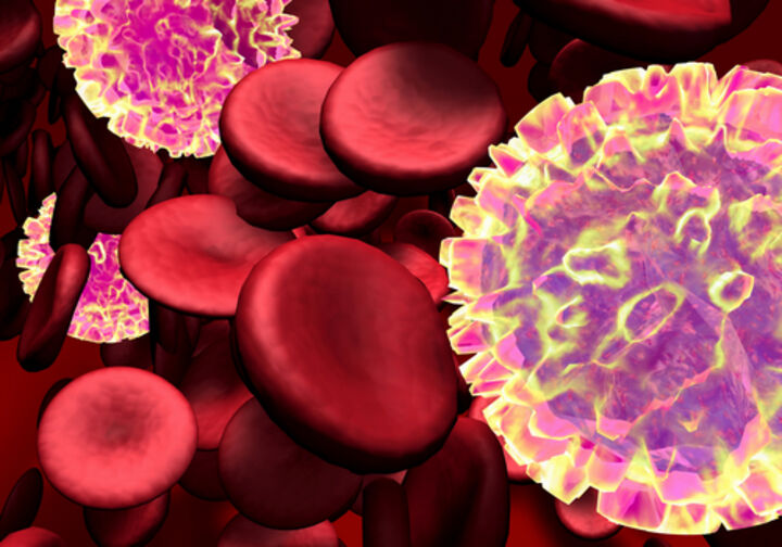 Immunzellen: räumliche Enge hemmt Aktivität