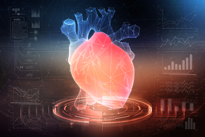 Forscher erstellen Mini-Herz in 3D-Drucker