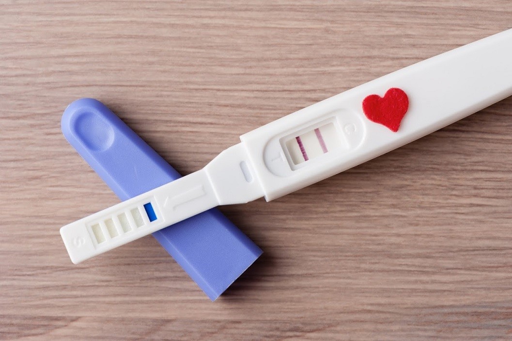 pregnancy, pregnancy test