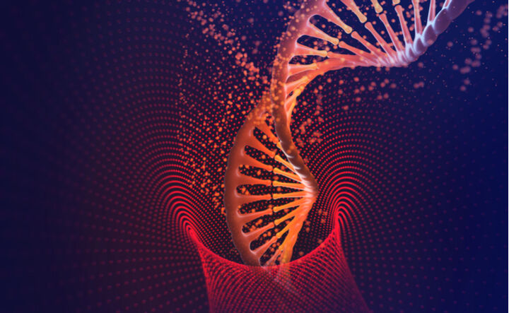 Welche Gene unsere Intelligenz regeln