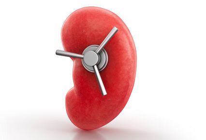 Invokana® (canagliflozin) значително понижава риска от бъбречна недостатъчност при пациенти със захарен диабет тип 2 и хронична бъбречна болест по данни от Фаза III  проучването CREDENCE 