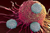 Metallhaltige Chemotherapien verstärken Wirkung der Immuntherapie bei Krebs