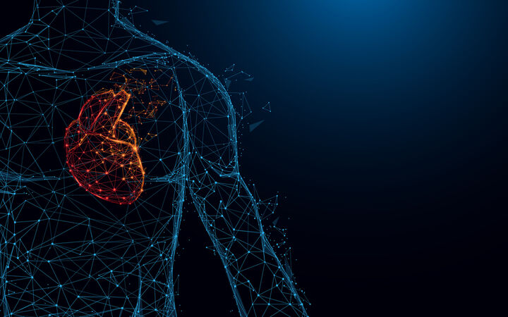 Kardiovaskuläre Erkrankungen: Prognose-Modell aus den 1990er-Jahren bringt immer noch die besten Ergebnisse
