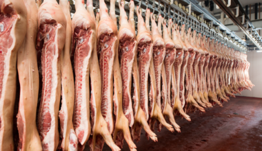 Jedes dritte Stück Schweinefleisch mit antibiotikaresistenten Keimen belastet