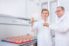 Forscher des Universitätsklinikums Heidelberg entwickeln ersten marktfähigen Bluttest für Brustkrebs