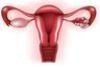 Ovarialzysten (Zysten am Eierstock): Ursachen, Diagnose und Behandlung