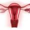 Ovarialzysten (Zysten am Eierstock): Ursachen, Diagnose und Behandlung