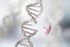 Die Rolle der Gene bei Brust- und Eierstockkrebs - Video