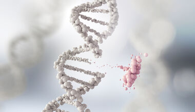 Die Rolle der Gene bei Brust- und Eierstockkrebs - Video