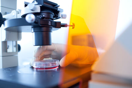 Безплатни тестове за хепатит В и С в София&nbsp;