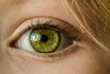Über die häufigsten Augenerkrankungen