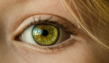 Über die häufigsten Augenerkrankungen