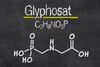 Krebs durch Glyphosat? Debatte geht weiter