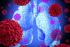 Lungenkrebs: Immuntherapie kommt bei fast jedem Patienten zum Einsatz – und bringt Überlebensvorteil