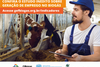 ESTUDO INÉDITO - Biogás e geração de emprego na Região Sul do Brasil 