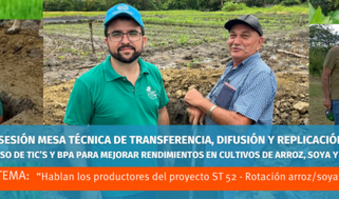 Hablaron los productores del proyecto ST 52 - Rotación arroz/soya en la 6ta. Sesión de la Mesa Técnica de Transferencia, Difusión y Replicación TDR convocada por la ONUDI
