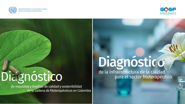 Diagnósticos del sector fitoterapéutico: una hoja de ruta hacia la competitividad 