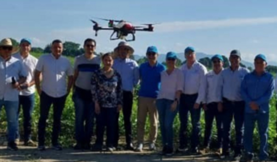 Proyecto piloto de la ONUDI demuestra incremento en la producción arroz y mejoramiento de suelos en Venezuela mediante la rotación del arroz con la soya