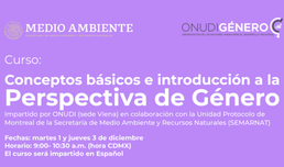 Unidad Nacional de Ozono – México: Capacitación sobre Conceptos Básicos e Introducción a la incorporación de la perspectiva de género