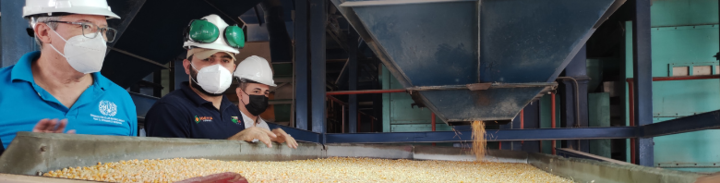 Con el objetivo de aumentar la capacidad de almacenamiento de semillas en Venezuela, ONUDI desarrolla proyecto piloto.