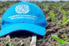ONUDI ejecuta proyecto piloto donde se aplicarán tecnologías digitales y protocolos agronómicos innovadores para aumentar el rendimiento de la cosecha de maíz en el estado Portuguesa