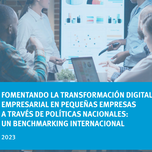 FOMENTANDO LA TRANSFORMACIÓN DIGITAL  EMPRESARIAL EN PEQUEÑAS EMPRESAS A TRAVÉS DE POLÍTICAS NACIONALES: UN BENCHMARKING INTERNACIONAL 2023