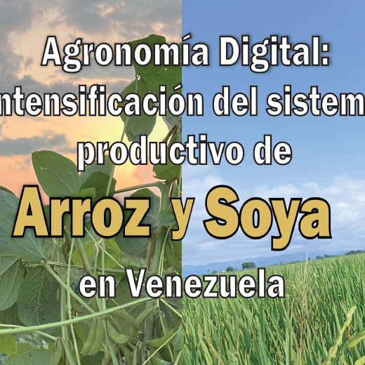 AGRONOMÍA DIGITAL: INTENSIFICACIÓN DEL SISTEMA PRODUCTIVO DE ARROZ Y SOYA EN VENEZUELA