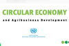 Economía circular y desarrollo de la agroindustria