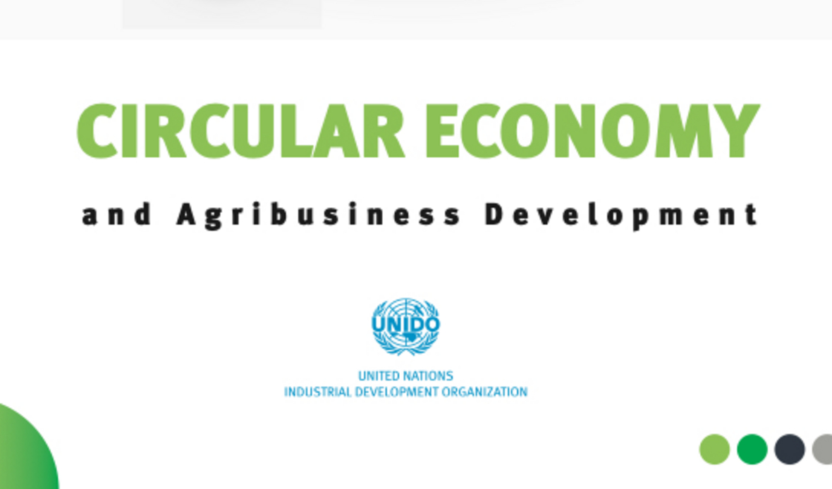 Economía circular y desarrollo de la agroindustria