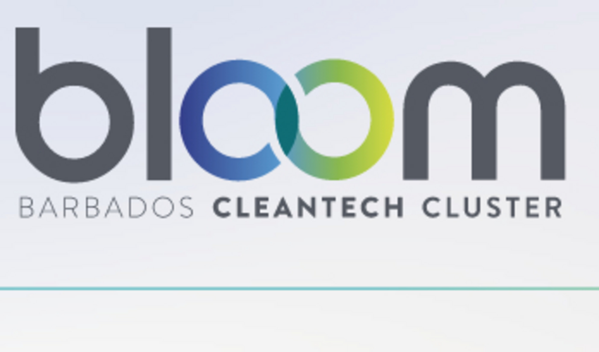 Programa de incubación residencial BLOOM Cleantech