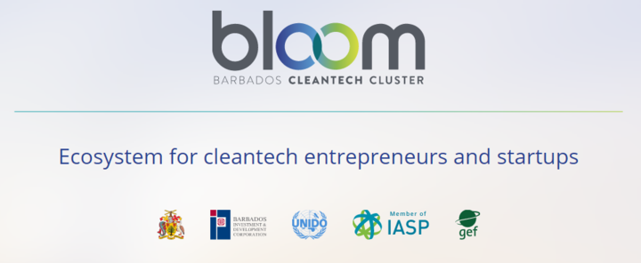 Programa de incubación residencial BLOOM Cleantech