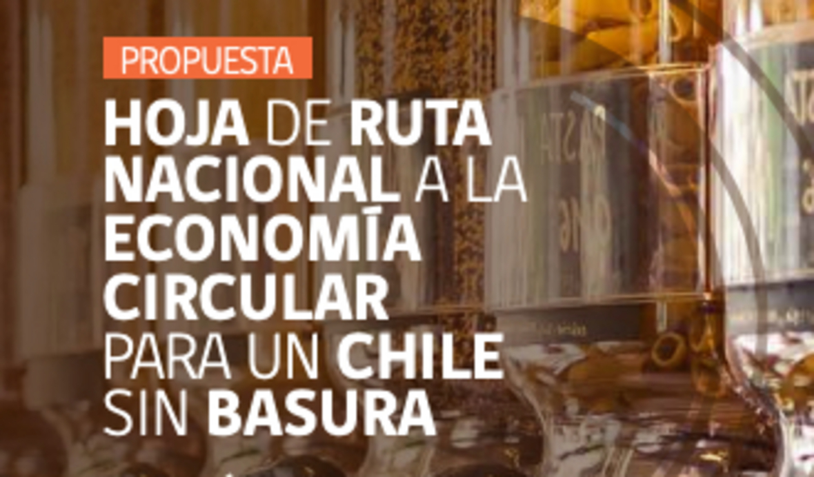 Hoja De Ruta Nacional A La EconomÍa Circular Para Un Chile Sin Basura Sdg 9 6173