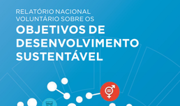 Informe Nacional Voluntario sobre los Objetivos de Desarrollo Sostenible - Brasil 2017