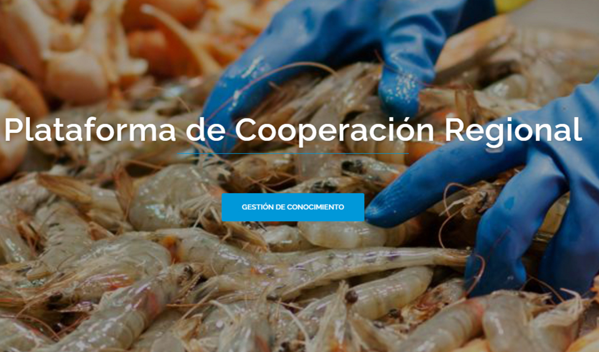 Plataforma de Cooperación Regional - Cadenas de valor del camarón