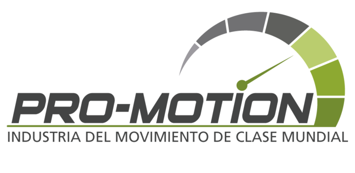 Programa para el desarrollo Industrial Sostenible e Inclusivo de la Cadena de Suministro Automotriz a través de la mejora de la Calidad y la Productividad – PRO-Motion