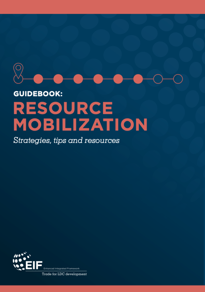 Guía: Movilización de recursos. Estrategias, consejos y recursos.