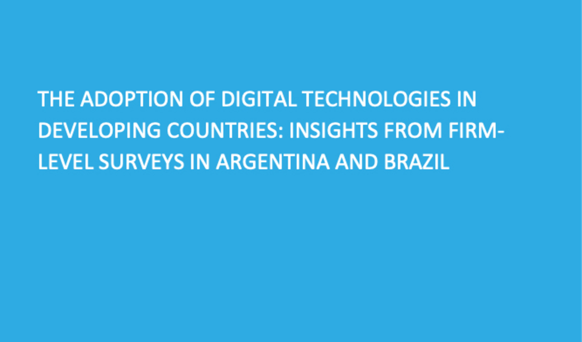 La adopción de las tecnologías digitales en los países en desarrollo. Perspectivas de las encuestas a nivel de empresa en Argentina y Brasil